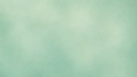 差し替え先の既存ステージ画像 hero-controlled。落ち着いたセージ